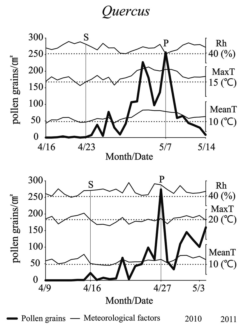 Start and Peak dates for Quercus and the relationship between meteorological parameters (S: start date, P: peak date, Rh: Relative humidity, MaxT: maximum temperature, MeanT: mean temperature).
