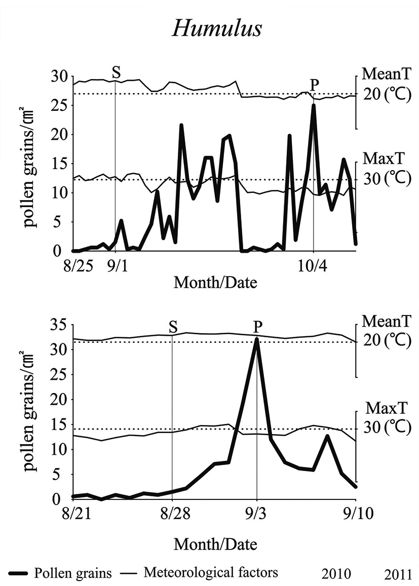 Start and Peak dates for Humulus and the relationship between meteorological parameters(S: start date, P: peak date, MeanT: mean temperature, MaxT: maximum temperature).