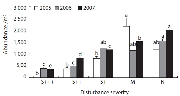 Abundance of oribatid mites (mean ± SE) from the different degrees of disturbance severity after 5, 6 and 7 years from fire in 2000. Study sites were indicated as severely damaged (S+++ and S++), less damaged (S+), minor damaged (M), and non-damaged natural site (N). Different letters above bars indicate the significant difference of the mean among the treatment within each year by ANOVA, LSD at 0.05 level.