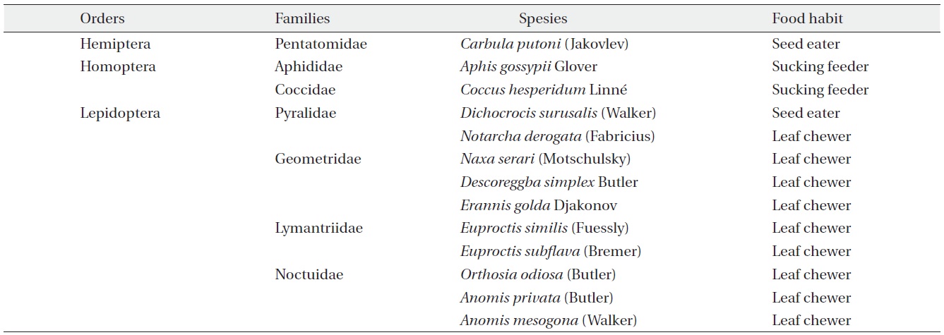 Insect pest species composition on Hibiscus syriacus