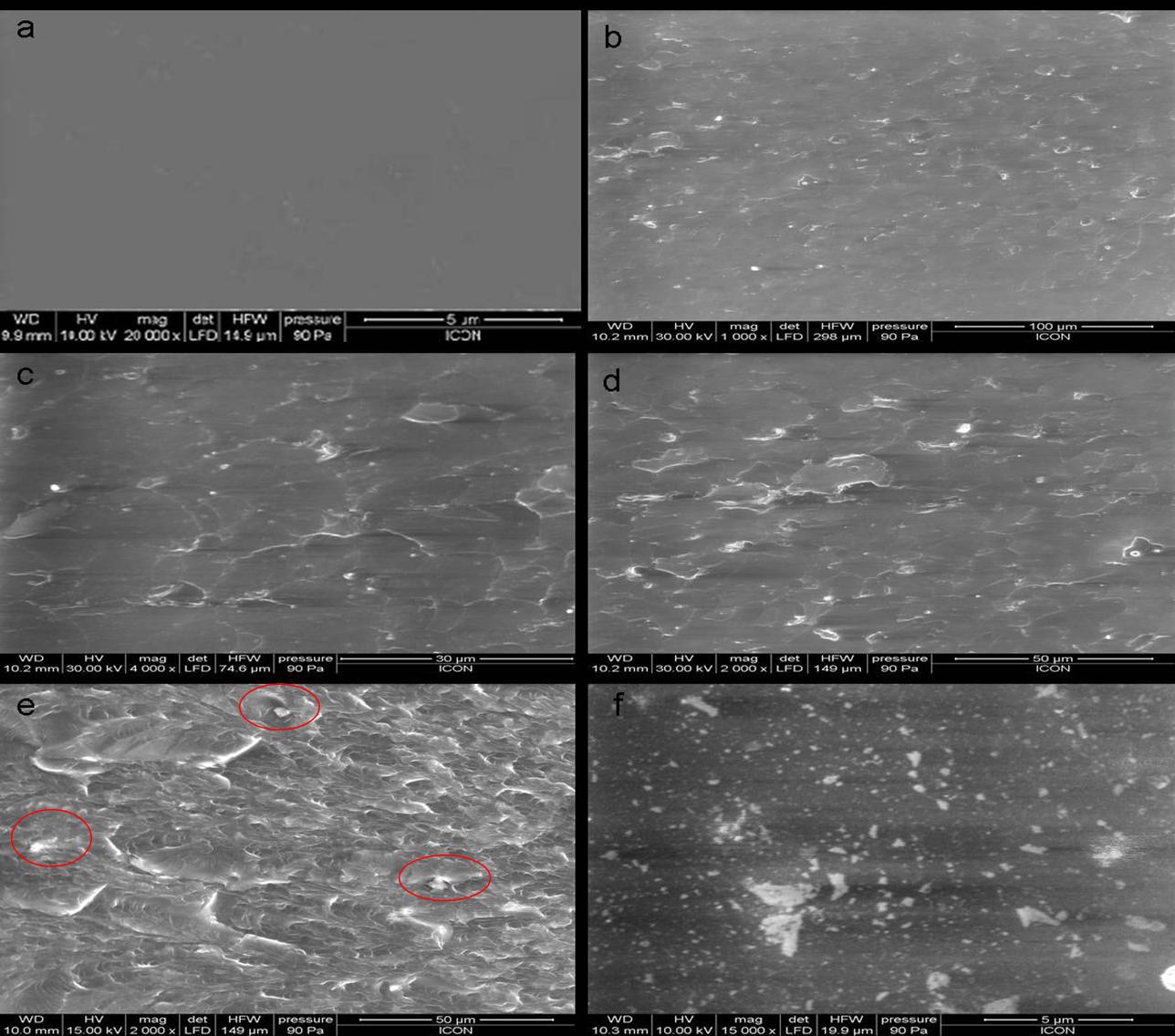 SEM images of (a) neat PU, (b) PU + 0.1% nano-alumina, (c) PU + 0.5% nano-alumina, (d) PU + 1% nano-alumina, (e) PU + 3% nano-alumina, and (f) PU + 5% nano-alumina.