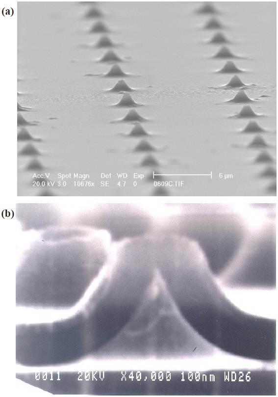 Scanning electron micrographs of (a) a fabricated Si FEA and (b) showing the cross-sectional view of an individual field emitter.