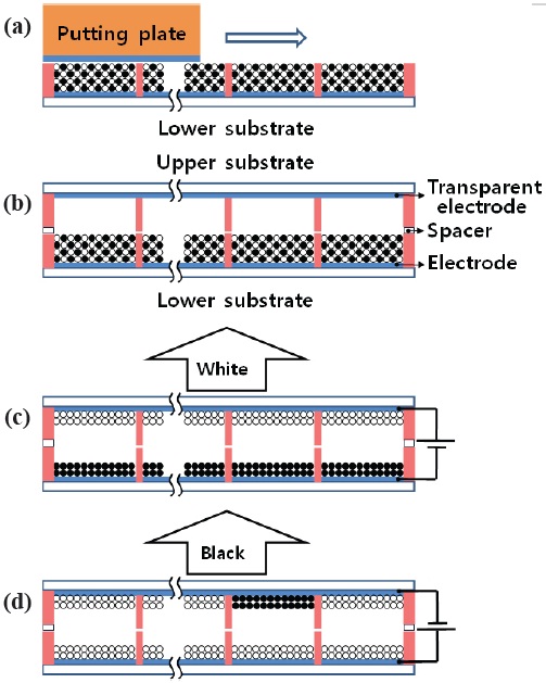 Fabrication process and realized image of the reflective display (a) simple particle-loading method, (b) packaged panel, (c) white, and (d) black image, by bias electric field.