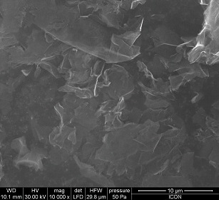 SEM Image of GNS used for the experiments.