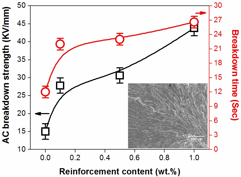 Response of the breakdown strength and time of alumina/epoxy nanocomposite under AC voltage.