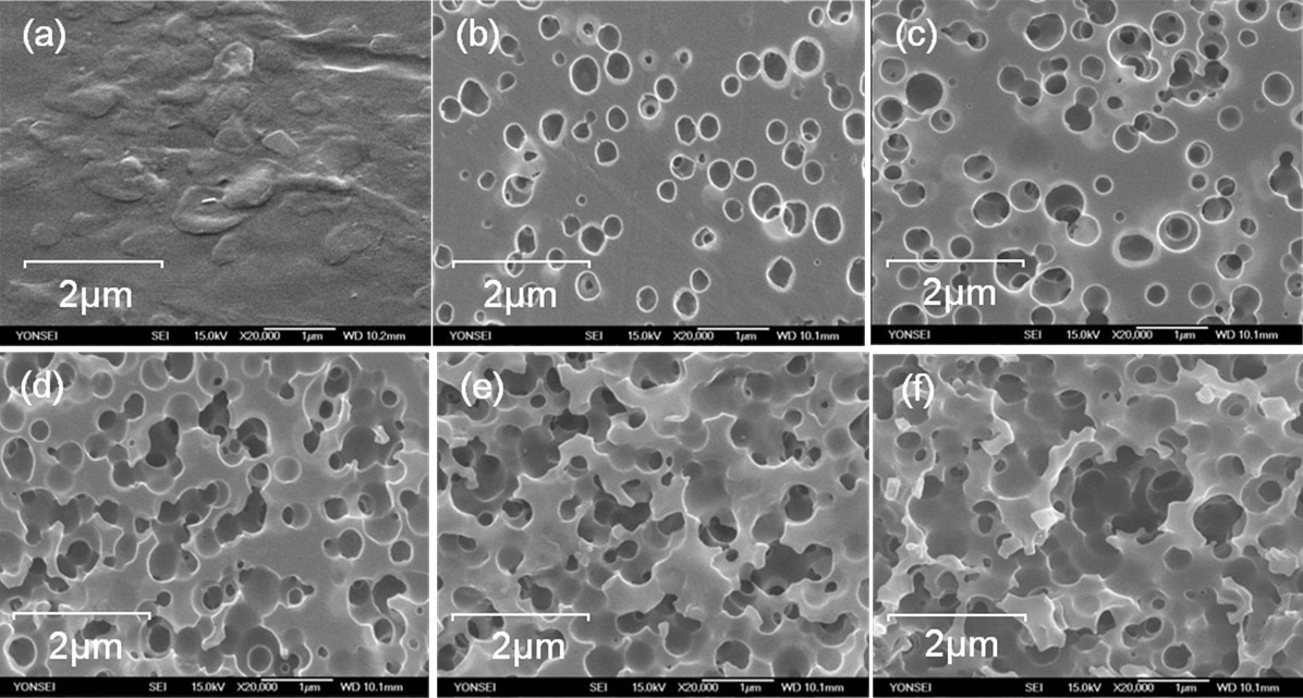 Scanning electron microscope images of the ABS surfaces: (a) with no chemical etching, and (b)-(f) with chemical etching times 30 s, 60 s, 90 s, 120 s, and 180 s, respectively.