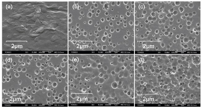 Scanning electron microscope images of the ABS surfaces: (a) with no plasma treatment ? the same image as Fig. 2-1(a), and (b)-(f) with plasma irradiation times 30 s, 60 s, 90 s, 120 s, and 180 s, respectively.