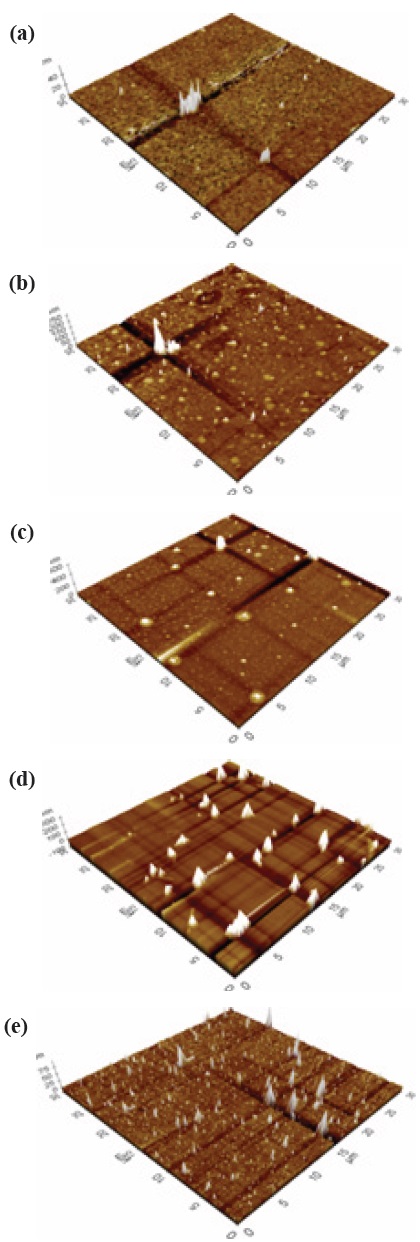 AFM images of pure a-C at different temperature (a) 400℃, (b) 450℃, (c) 500℃, (d) 550℃, and (e) 600℃.