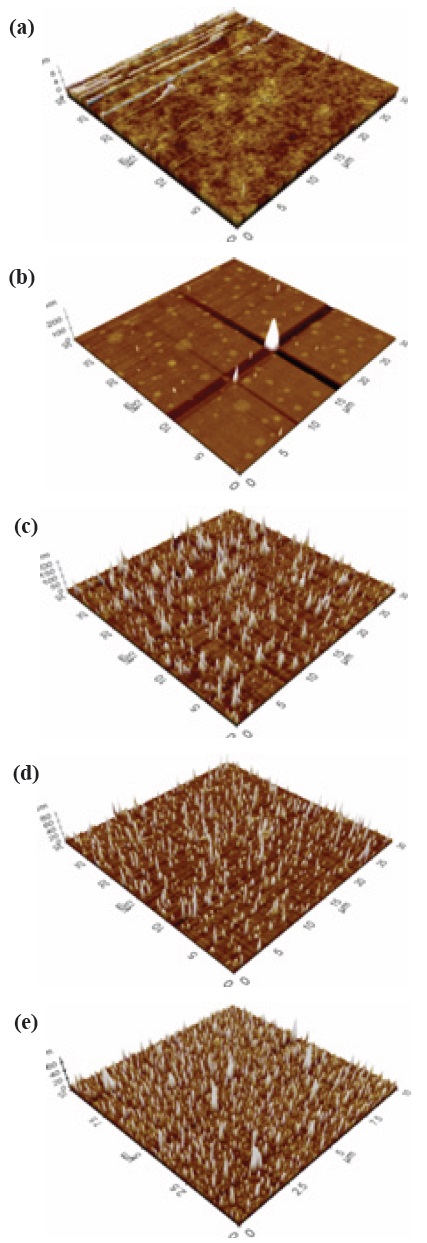 AFM images of nitrogen doped a-C:N at different temperature (a) 400℃, (b) 450℃, (c) 500℃, (d) 550℃, and (e) 600℃.