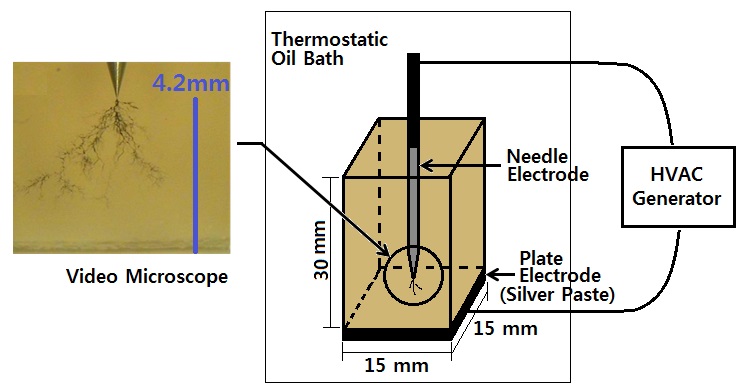 Arrangement of the needle-plate electrode in a specimen.