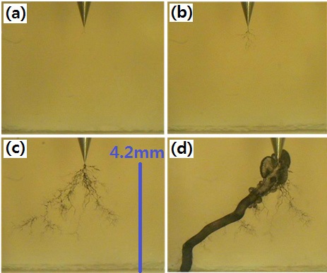 Morphology of electrical treeing for the epoxy/layered silicate (1 wt%) nanocomposite tested in the constant electric field of 10 kV/4.2 mm (60 Hz) at 30℃ for (a) 30 min, (b) 450 min, (c) 4,120 min, and (d) 5,235 min.