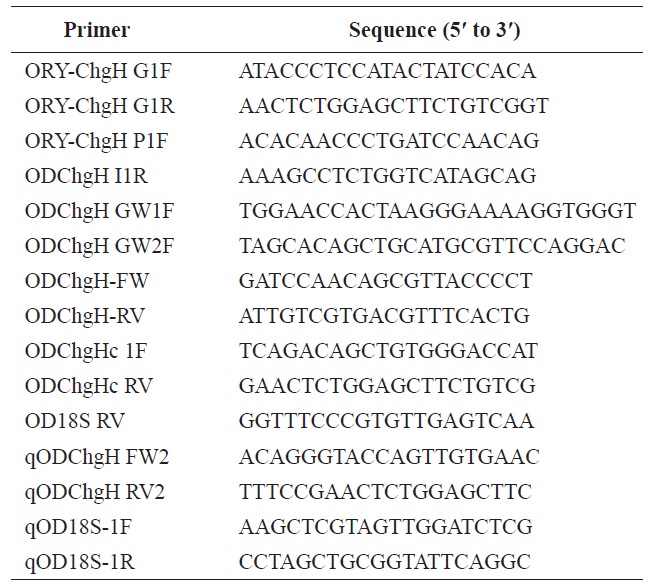 List of oligonucleotide primers used in this study