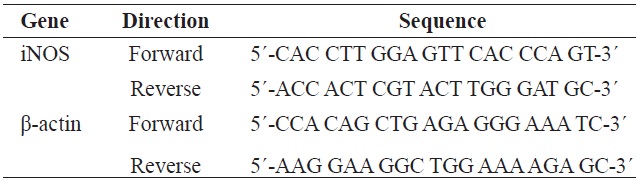 Gene-specific primers used for the reverse transcription PCR