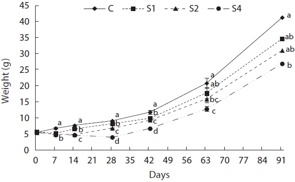 Weight-growth trajectories. Differences in weight among measuring times were compared using one-way ANOVA. Differences were considered significant when P < 0.05. C, control; S1, starved for 1 week and refed for 12 weeks; S2, starved for 2 weeks and refed for 11 weeks; S4, starved for 4 weeks and refed for 9 weeks.