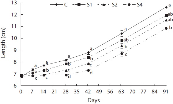 Length-growth trajectories. Differences in length among measuring times were compared using one-way ANOVA. Differences were considered significant when P < 0.05. C, control; S1, starved for 1 week and refed for 12 weeks; S2, starved for 2 weeks and refed for 11 weeks; S4, starved for 4 weeks and refed for 9 weeks.
