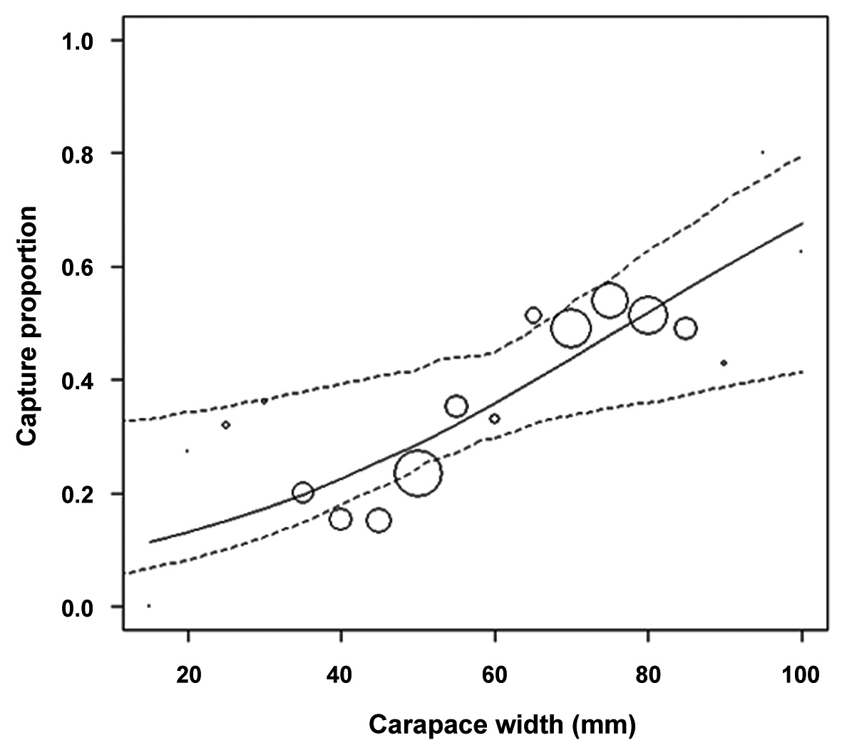 Estimated efficiency of the National Fisheries Research and Development Institute (NFRDI) survey trawl for both sexes of snow crab as a function of carapace width. The dotted lines represent the 95% empirical confidence intervals. The circles represent the relative sample size within 5 mm intervals of carapace width.