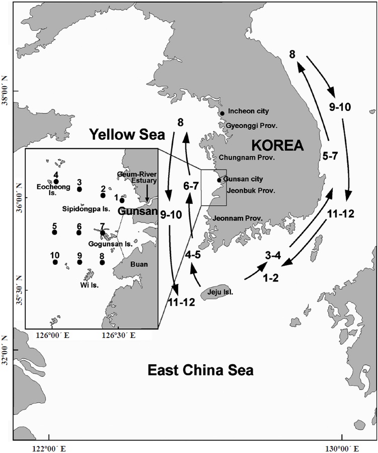 Sampling area off Gunsan City in Jeonbuk Province in the Yellow Sea during June-July from 2003 to 2009. The numbers represent the egg sampling stations. Arrows and digits indicate the migration routes and months of Pacific anchovy (modified from the results of Hwang et al., 2007, with permission from The Korean Society of Fisheries and Aquatic Science).