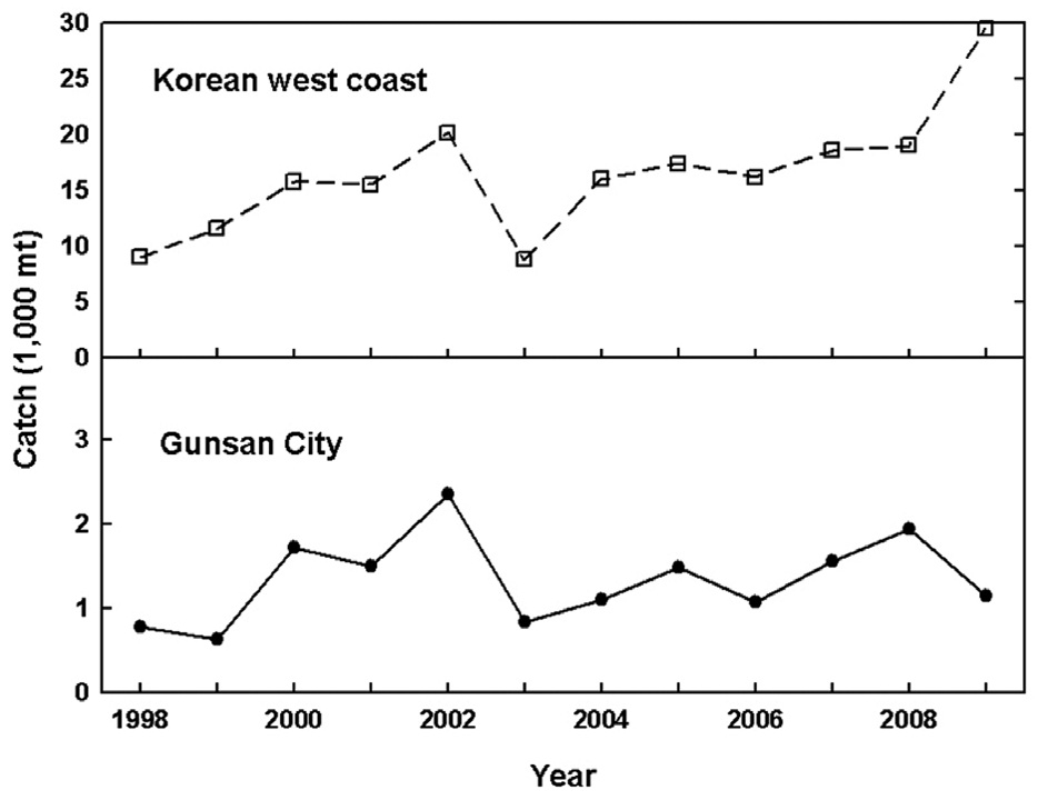 Interannual fluctuation of catch amount of the dried larvae of Pacific anchovy Engraulis japonicas in Gunsan City and Korean west coast based on the catch data of the consignment sale at the fisheries cooperation union of Gunsan City and the catch statistics in Korean west coast of fisheries statistical yearbook for 1998-2009. Solid and dotted lines indicate the catch amount of Gunsan City and Korean west coast, respectively.