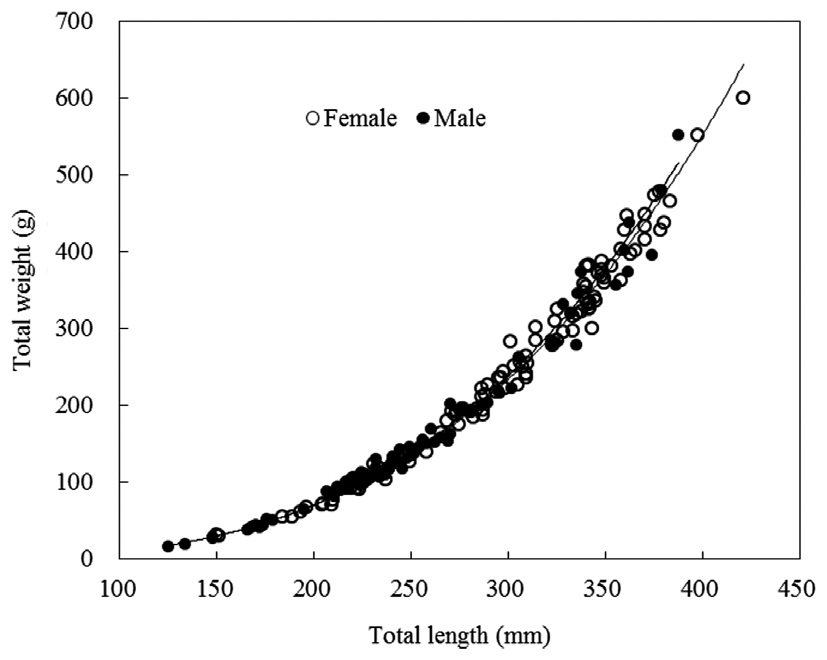 Relationship of total length and total weight in the samples of Hemibarbus labeo.