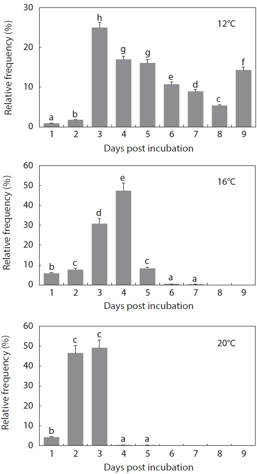 Temporal patterns of the hatching event in Siberian sturgeon Acipenser baerii embryos incubated at three different temperatures. Prehatching (i.e., tail-beating and capable of moving) embryos that had been developed under each temperature condition was allocated again to tanks adjusted at one of the three temperatures and hatched prolarvae were counted in a daily basis. Means with different letters are significantly different based on ANOVA followed by Duncan’s multiple ranged tests at P < 0.05.