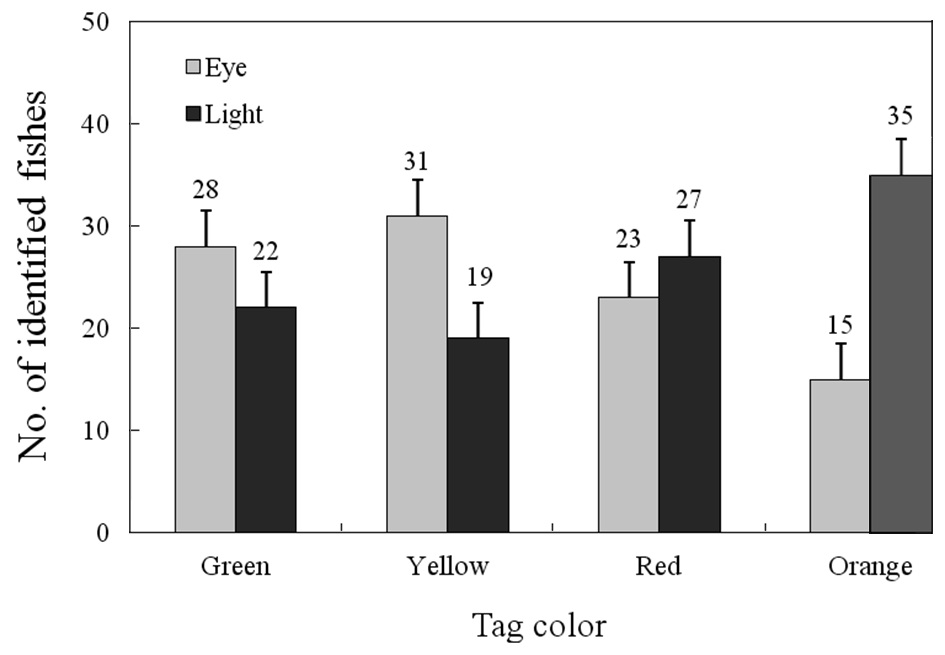 Comparison of visible implant fluorescent elastomer (VIE) tag detection, identification between the four tag colors used two detection methods in greenling Hexagrammos otakii, using observations taken on 2 m above water visibility. Number of observations for each category is given above each bar. Tags site were dorsal fin base (eye, tags observed with the naked eye; light, tags observed using a blue UV lamp light to activate fluorescence. Error bars are 95% confidence).