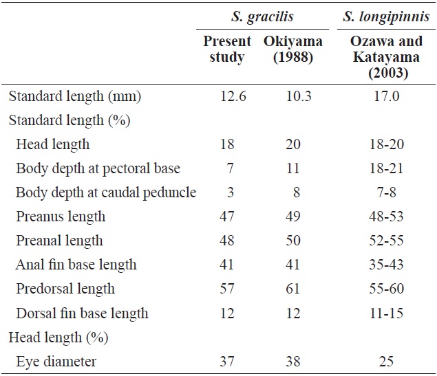 Comparison with the proportional measurements of Sigmops gracilis and Sigmops longipinnis juveniles