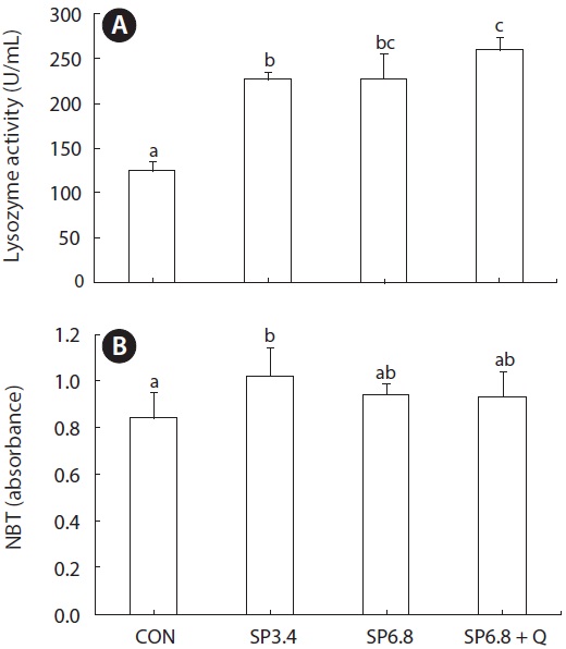 Effects of dietary spirulina and quercetin on lysozyme (A) and nitro-blue-tetrazolium (NBT) (B) activities of juvenile olive flounder Paralichthys olivaceus fed the experimental diets for 10 weeks. Different letters signify statistical differences (P < 0.05) between groups. CON, 0% spirulina; SP3.4, 3.4% spirulina; SP6.8, 6.8% spirulina; SP6.8 + Q, 6.8% spirulina plus 0.5% quercetin.