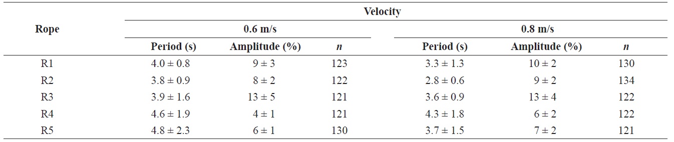 Mean ± SD of amplitude ratio and periods for the fluttering ropes by flow velocity