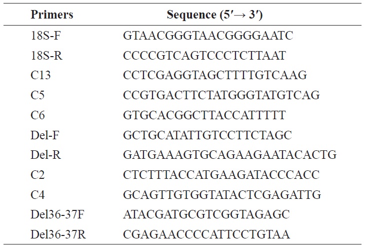 Oligonucleotides used in this study