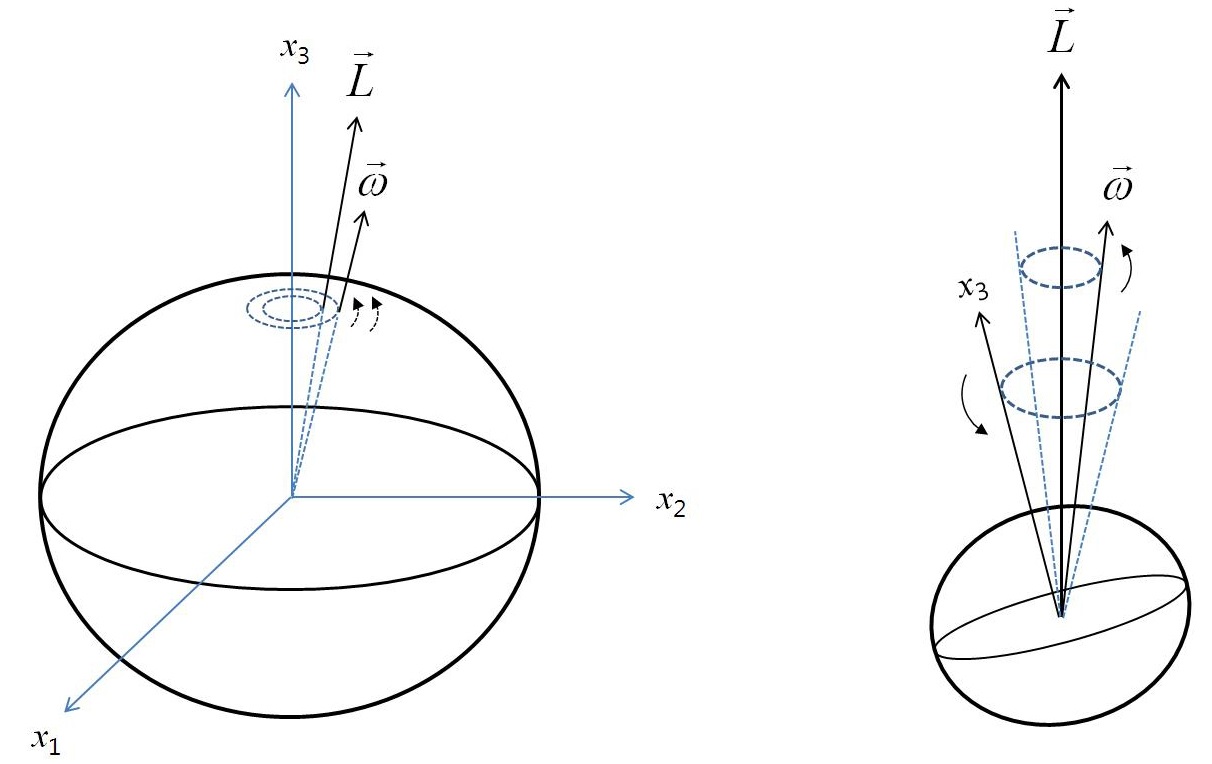 Two illustrations of wobble (free Eulerian nutation). Precession of angular velocity and momentum vectors around principal axis (x3-axis) observed by an observer on the body (left). To an observer in space, angular momentum vector remains unchanged, while angular velocity vector and x3-axis rotate around it (right).
