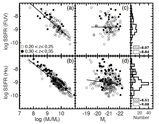 SSFR of the FUV flux and the Hα emission line as a function of mass (left panels) and luminosity (right panels). The solid line denotes least-square fitting line for galaxies at 0.20 < z < 0.25 as a guideline. The histograms show the distributions of SSFRs of two subsamples at different redshift ranges. Symbols and histograms are same as in Fig. 2. The median SSFR values of two subsamples are indicated in the histogram.