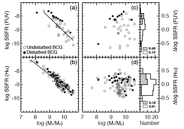 (a, b) SSFR from FUV flux and Hα emission line vs. mass of disturbed (filled circles) and undisturbed (open circles) BCGs. The solid line is the least-square fitting line of undisturbed BCGs as a guideline. (c, d) Distributions of ΔSSFR of two subsamples. The ΔSSFR is defined as observed value minus value from least square fitting line of undisturbed BCGs at a fixed mass. Histograms for the ΔSSFR of disturbed (hatched histogram) and undisturbed (solid histogram) BCGs and their median values are presented.