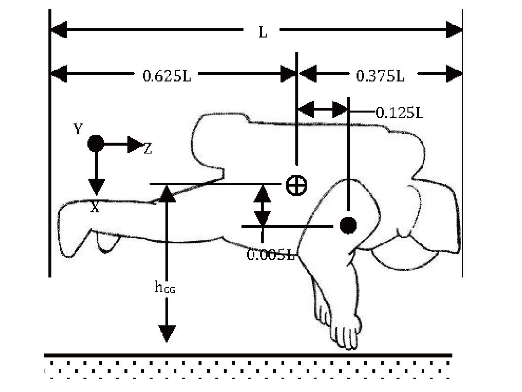 Physical geometry of astronaut during EVA