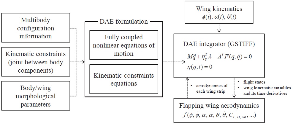 A block diagram showing the modules used in multibody dynamic modeling and simulation of the hawkmoth multibody model.