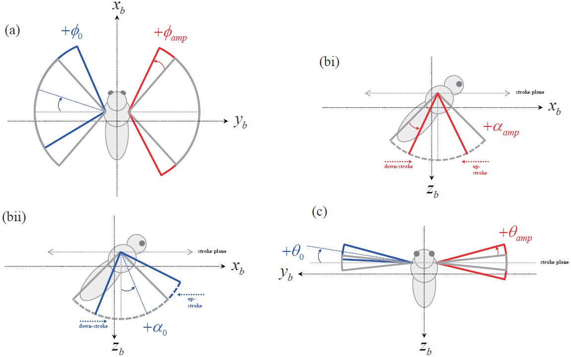 Illustrations of the control inputs in each wing kinematics function