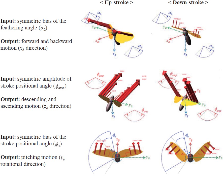 A erodynamic vectors on the wings under longitudinal control inputs