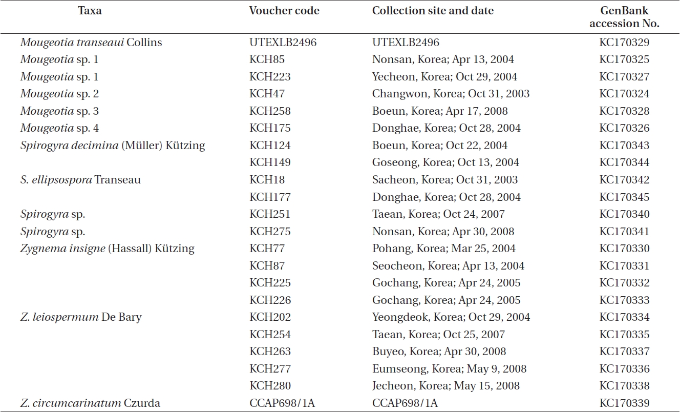 Taxa, collection site and date, and GenBank accession number of the psbA sequences of the Zygnemataceae used in the present study