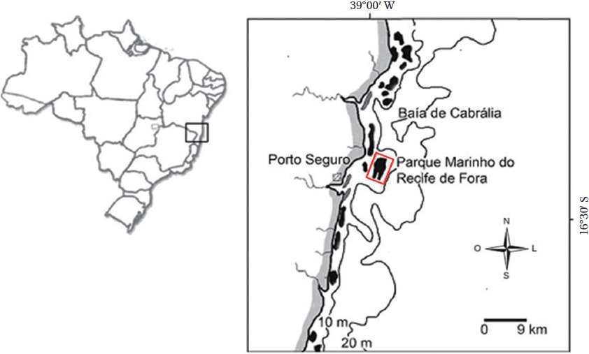 Location of the protected area of Parque Marinho do Recife de Fora, Bahia, Brazil, the rectangle delimits the park’s area.