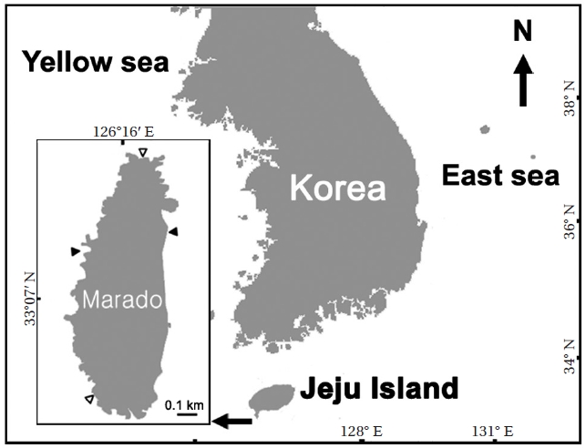 Map showing the collection sites for the macroalgal samples applied to a quantitative analysis on the intertidal (white triangle marks) and subtidal zones (dark triangle marks) of Marado.