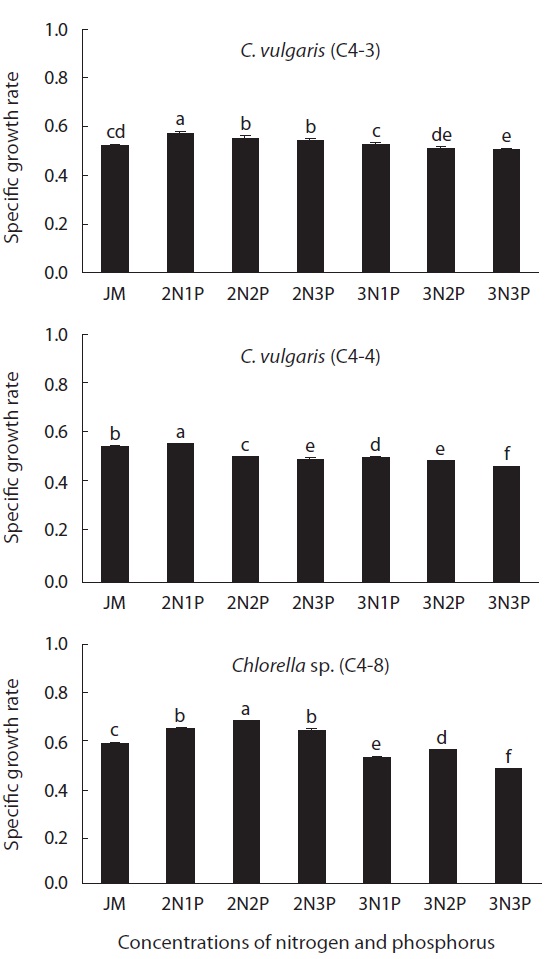 Specific growth rate of three heterotrophic Chlorella species with different concentrations of nitrogen and phosphorous in Jaworski’s medium (JM) at 26℃ for six days. The concentration of control JM medium (1N1P) is 0.02 g Ca(NO3)2 L-1 and 0.08 g NaNO3 L-1 in nitrogen and 0.0124 g KH2PO4 L-1 and 0.036 g Na2HPO4 L-1 in phosphorus. 2N and 3N, doubled and tripled concentrations of nitrogen of JM medium; 1P, original concentration of phosphorus of JM medium; 2P and 3P, doubled and tripled concentrations of phosphorus of JM medium. Different letters on the bar mean significantly difference (p < 0.05).
