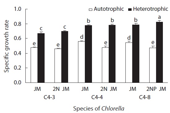 Specific growth rate of Chlorella vulgaris (C4-3 and C4-4) and Chlorella sp. (C4-8) cultured under autotrophic and heterotrophic condition at 26℃ with different concentrations of nitrogen and phosphorus in Jaworski’s medium (JM) for six days. 2N JM, doubled concentrations of nitrogen of JM medium; 2NP JM, doubled concentrations of nitrogen and phosphorus of JM medium. Different letters on the bar mean significantly difference (p < 0.05).