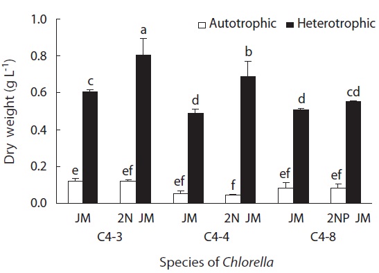 Biomass in dry weight of Chlorella vulgaris (C4-3 and C4- 4) and Chlorella sp. (C4-8) cultured in autotrophic and heterotrophic condition at 26℃ with different concentrations of nitrogen and phosphorus in Jaworski’s medium (JM) for six days. 2N JM, doubled concentrations of nitrogen of JM medium; 2NP JM, doubled concentrations of nitrogen and phosphorus of JM medium. Different letters on the bar mean significantly difference (p < 0.05).