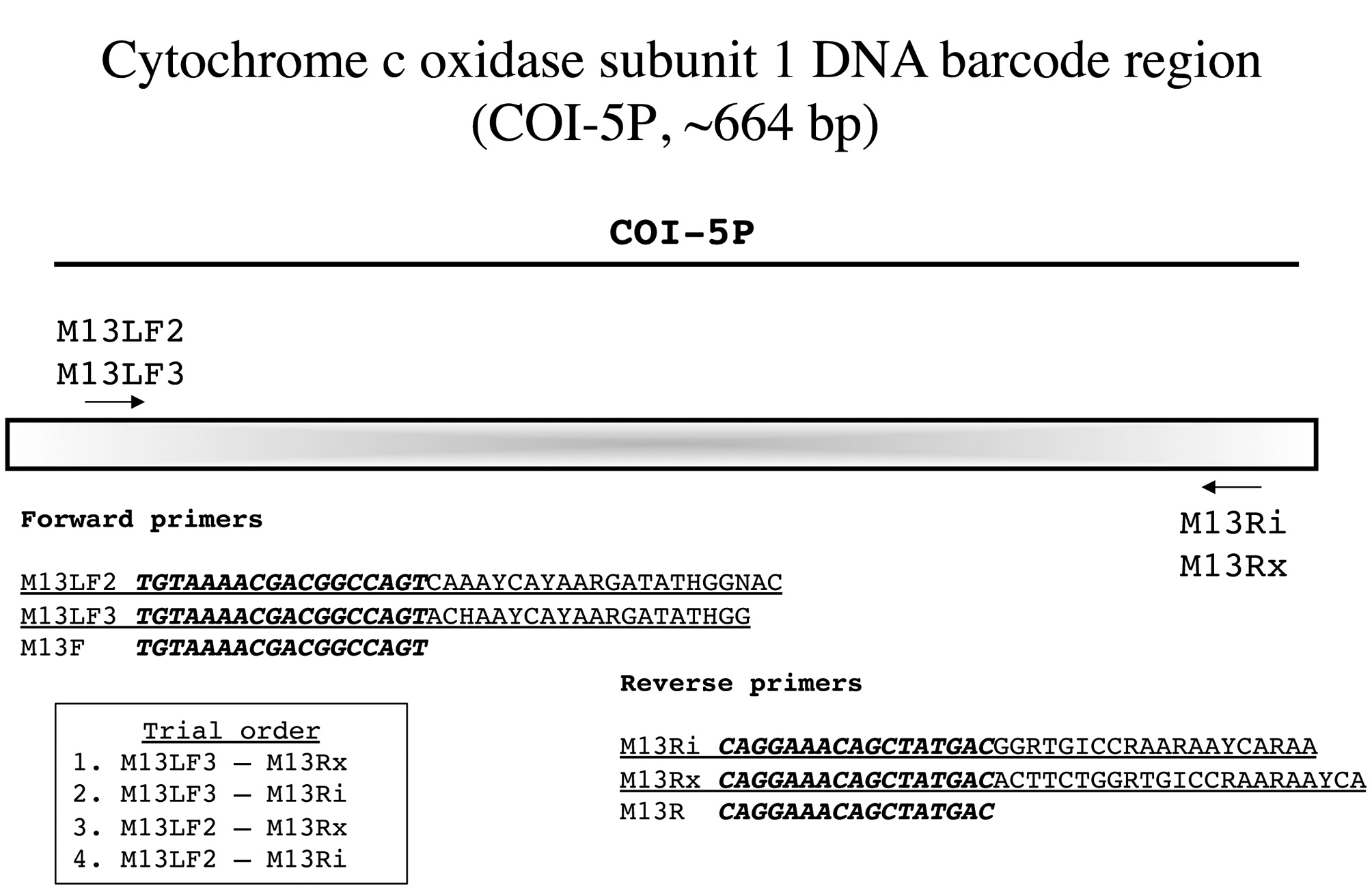 Overview of PCR / sequencing strategy for the mitochondrial COI-5P barcode marker. The order in which primer combinations are
trialed for taxa is indicated from the first (best) to fourth option.
