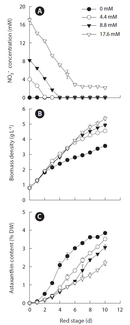 Effects of nitrate concentrations on nitrate uptake kinetics (A), growth (B), and astaxanthin content (C) of Haematococcus pluvialis under outdoor conditions. Data were means ± standard deviations of six measurements from three individual columns (two measurements per column). The values in the legend represent different initial nitrogen concentration treatments. The initial biomass density was 0.8 g L-1 for this experiment.