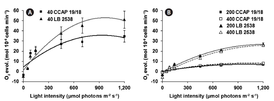 Effect of light intensity on the rate of O2 evolution of Dunaliella salina CCAP 19/18 (CCAP 19/18) and D. bardawil (LB 2538). (A) Growth under low light (40 μmol photons m-2 s-1). (B) Growth under high light (200 and 400 μmol photons m-2 s-1). Rate of O2 evolution was calculated on the cell basis. Numbers after the symbols represent the light intensity in μmol photons m-2 s-1.