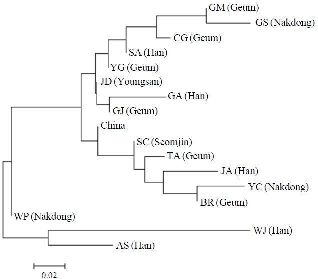 A neighbor-joining dendrogram depicting the genetic relationship among local populations in this study. The major river system including each local population is denoted in parenthesis. AS, Anseong; BR, Boryeong; CG, Chogang; GA, Gyeongan; GJ, Gimje; GM, Geumsan; GS, Gyeongsan; JA, Joan; JD, Jindo; SA, Sangam; SC, Sooncheon; TA, Taean; WJ, Wonju; WP, Woopo; YC, Yeongcheon; YG, Yanggang.