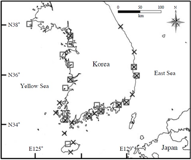 The distribution of Hemigrapsus takanoi and H. penicillatus in the Korean peninsula (□, H. takanoi; ×, H. penicillatus).