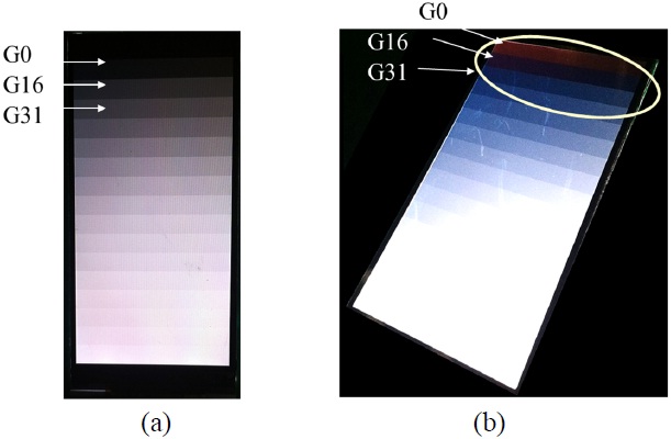 Gray scale inversion characteristics of an IPS LCD; gray bars are from gray level G0 to G255. (a) No gray scale inversion at normal incidence, and (b) gray scale inversion at a polar angle of 50° and an azimuthal angle of 150°.