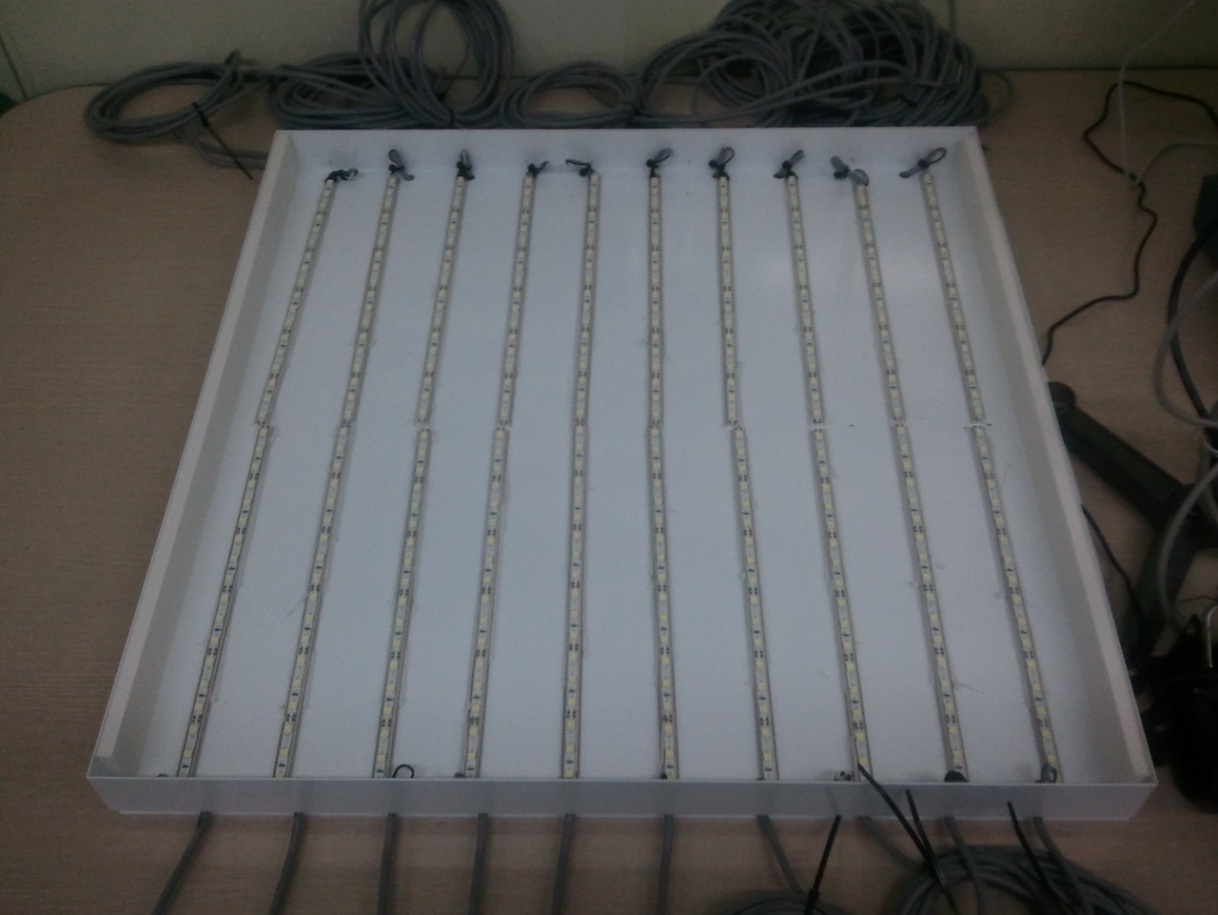 Photograph of the white LED lighting composed of 360 PC white LEDs where 18 LEDs were grouped as a channel, and hence, the number of channels was 20 in total.