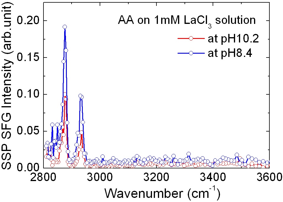 SF spectra of arachidic acid monolayer on 1 mM LaCl3 solution at pH 8.4 (blue) and 10.2 (red).